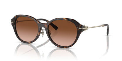 TIFFANY TF4210D 80153B 54