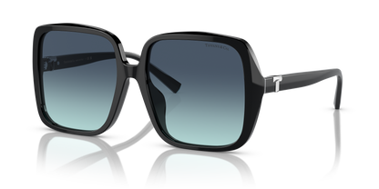 TIFFANY TF4211D 83429S 58