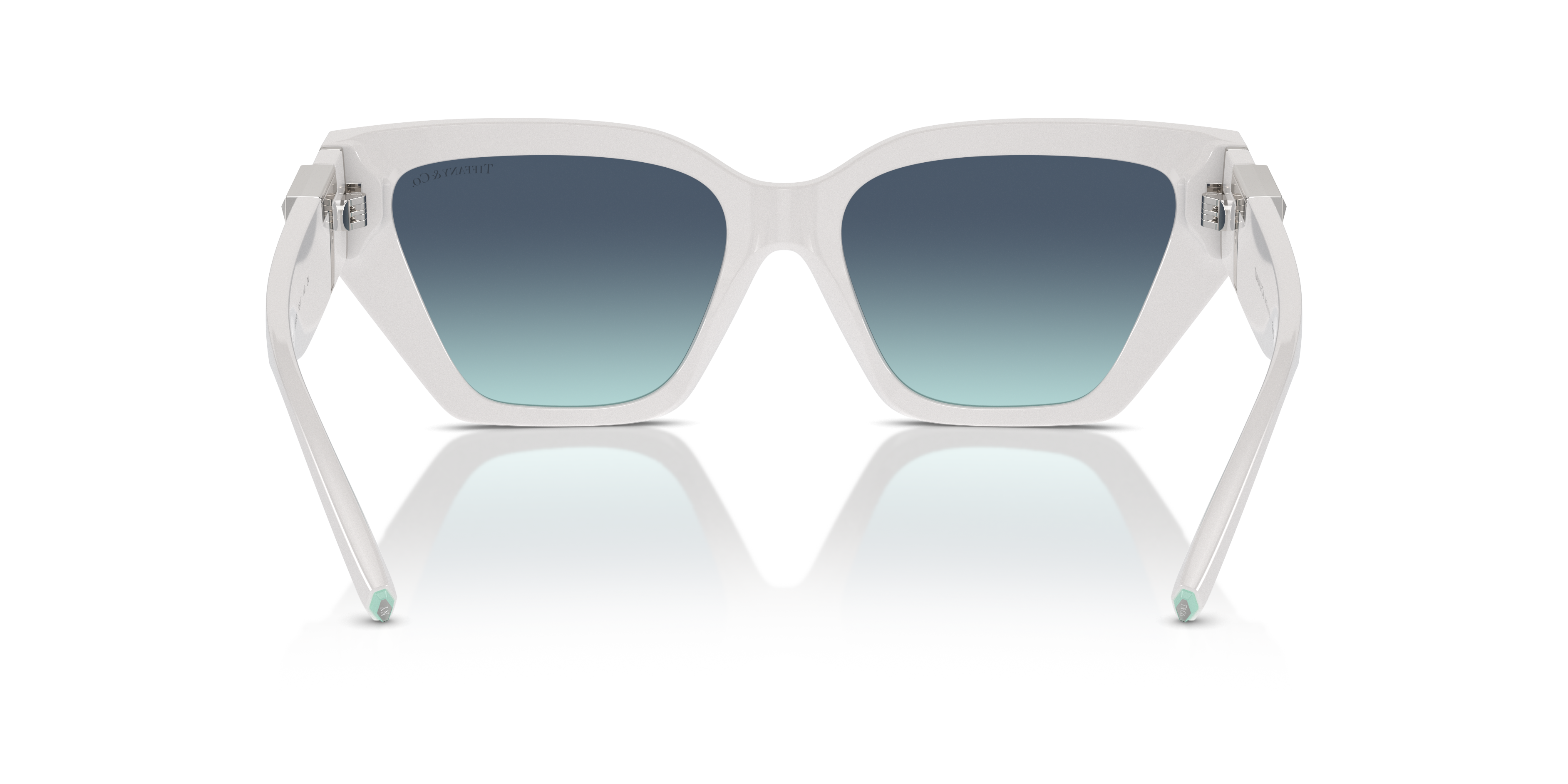 TIFFANY TF4218 83929S 55