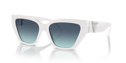 TIFFANY TF4218 83929S 55