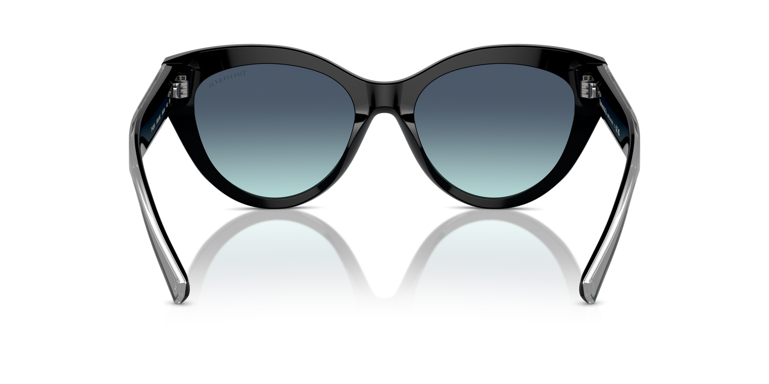 TIFFANY TF4220 80019S 54