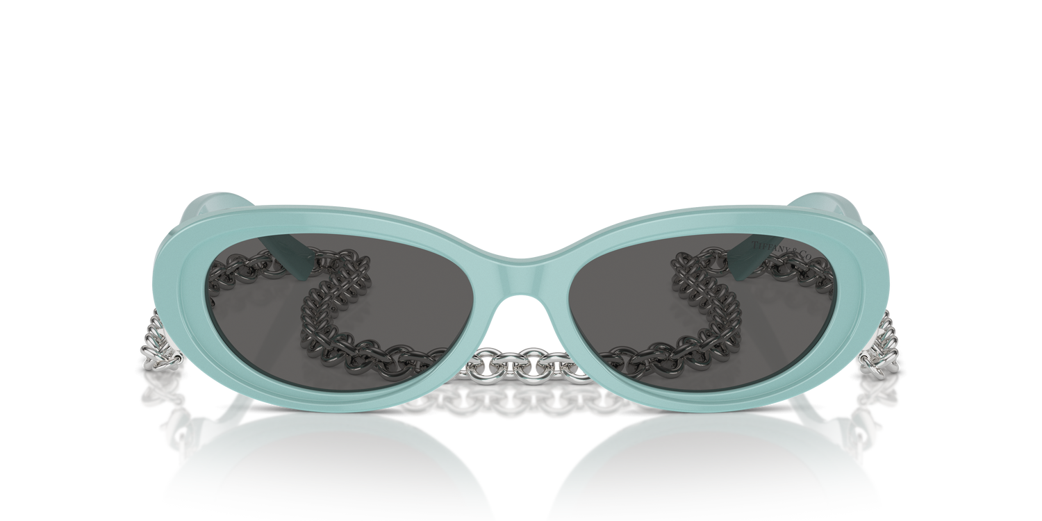 TIFFANY TF4221 8388S4 54