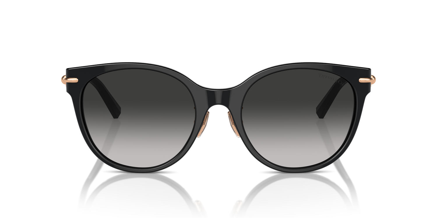 TIFFANY TF4223D 80013C 54