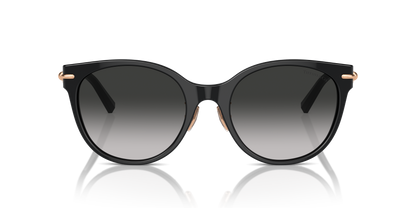 TIFFANY TF4223D 80013C 54