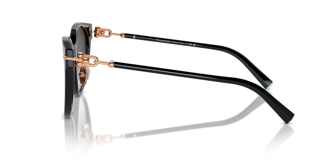 TIFFANY TF4223D 80013C 54