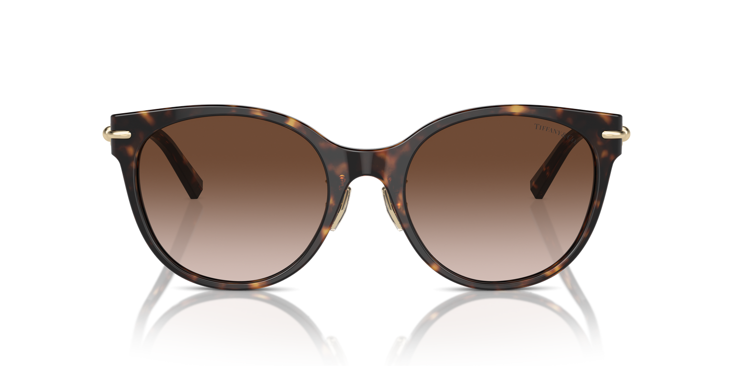 TIFFANY TF4223D 80153B 54