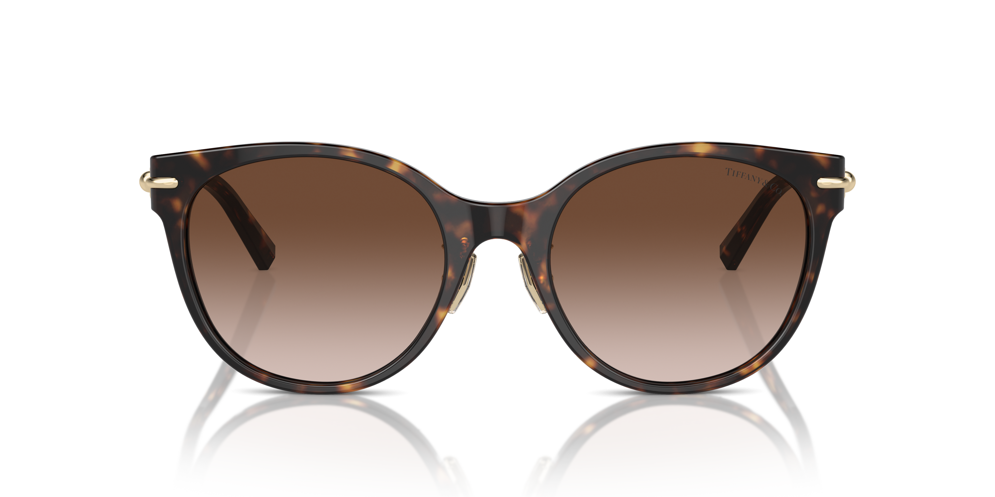 TIFFANY TF4223D 80153B 54