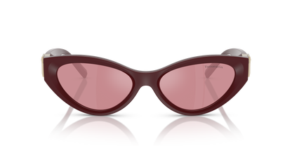 TIFFANY TF4225U 838930 54