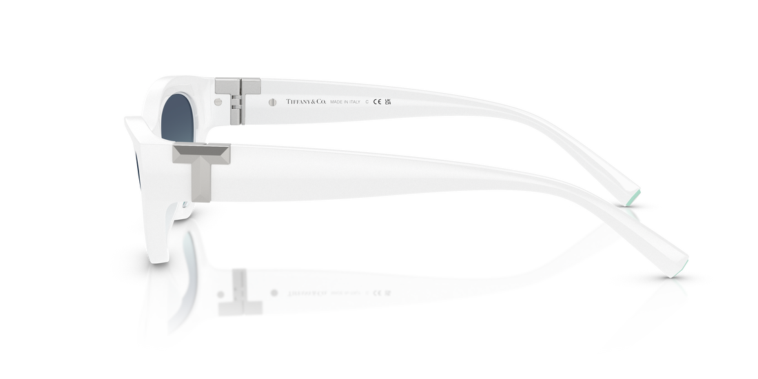 TIFFANY TF4225U 83929S 54