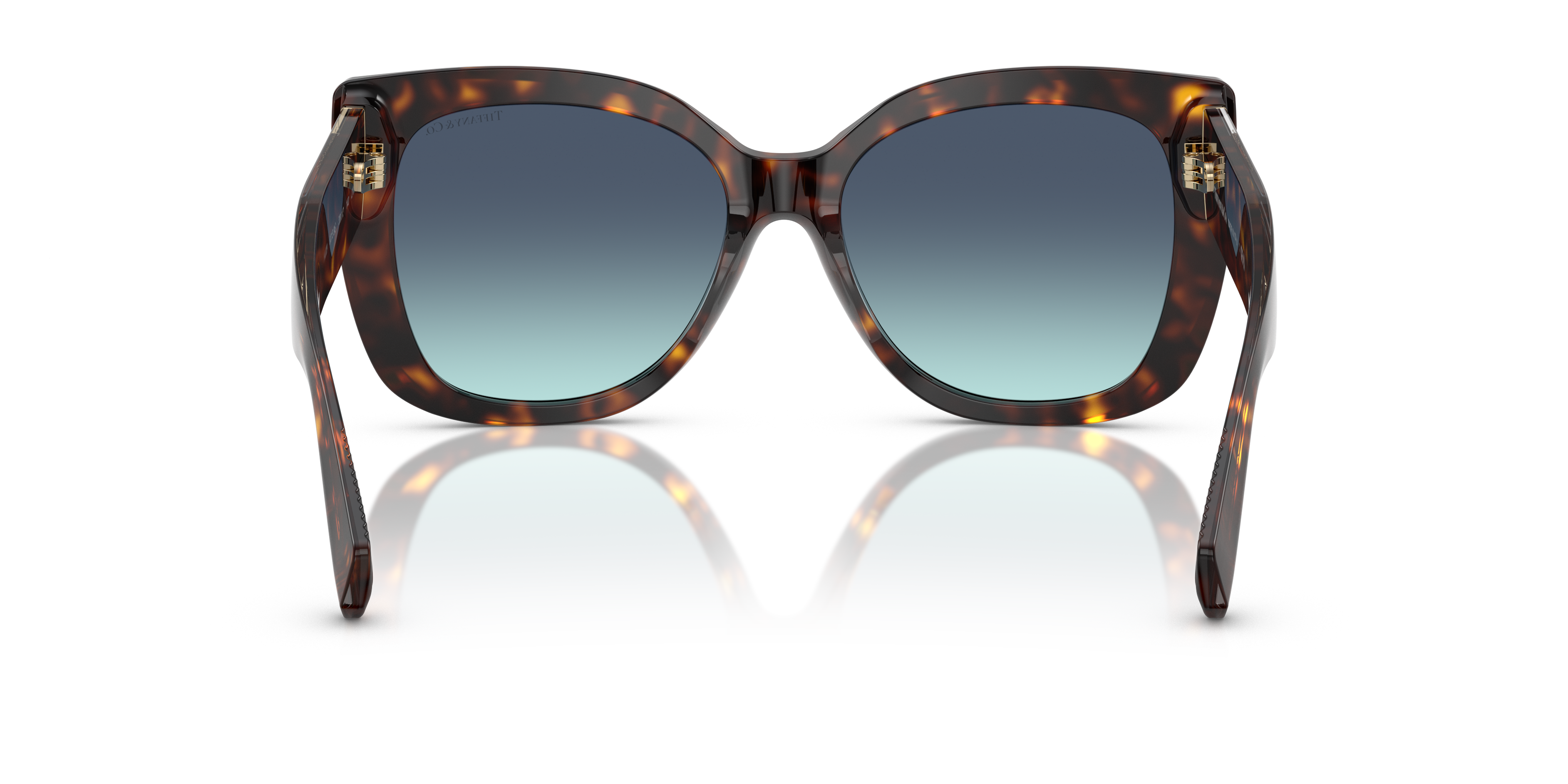 TIFFANY TF4229 80159S 55