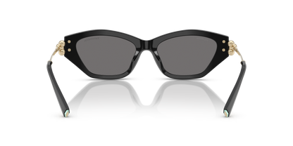 TIFFANY TF4231U 800181 53