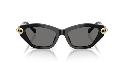 TIFFANY TF4231U 800181 53