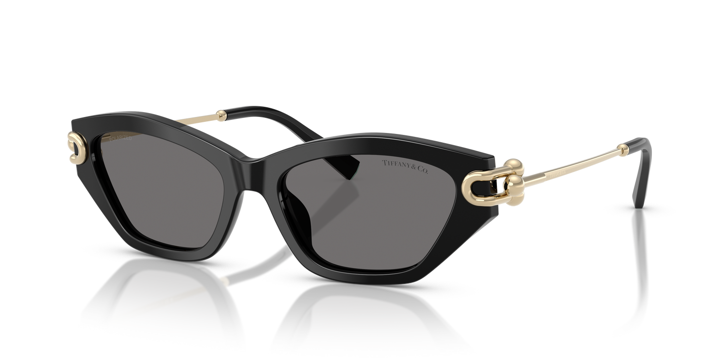TIFFANY TF4231U 800181 53