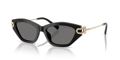 TIFFANY TF4231U 800181 53