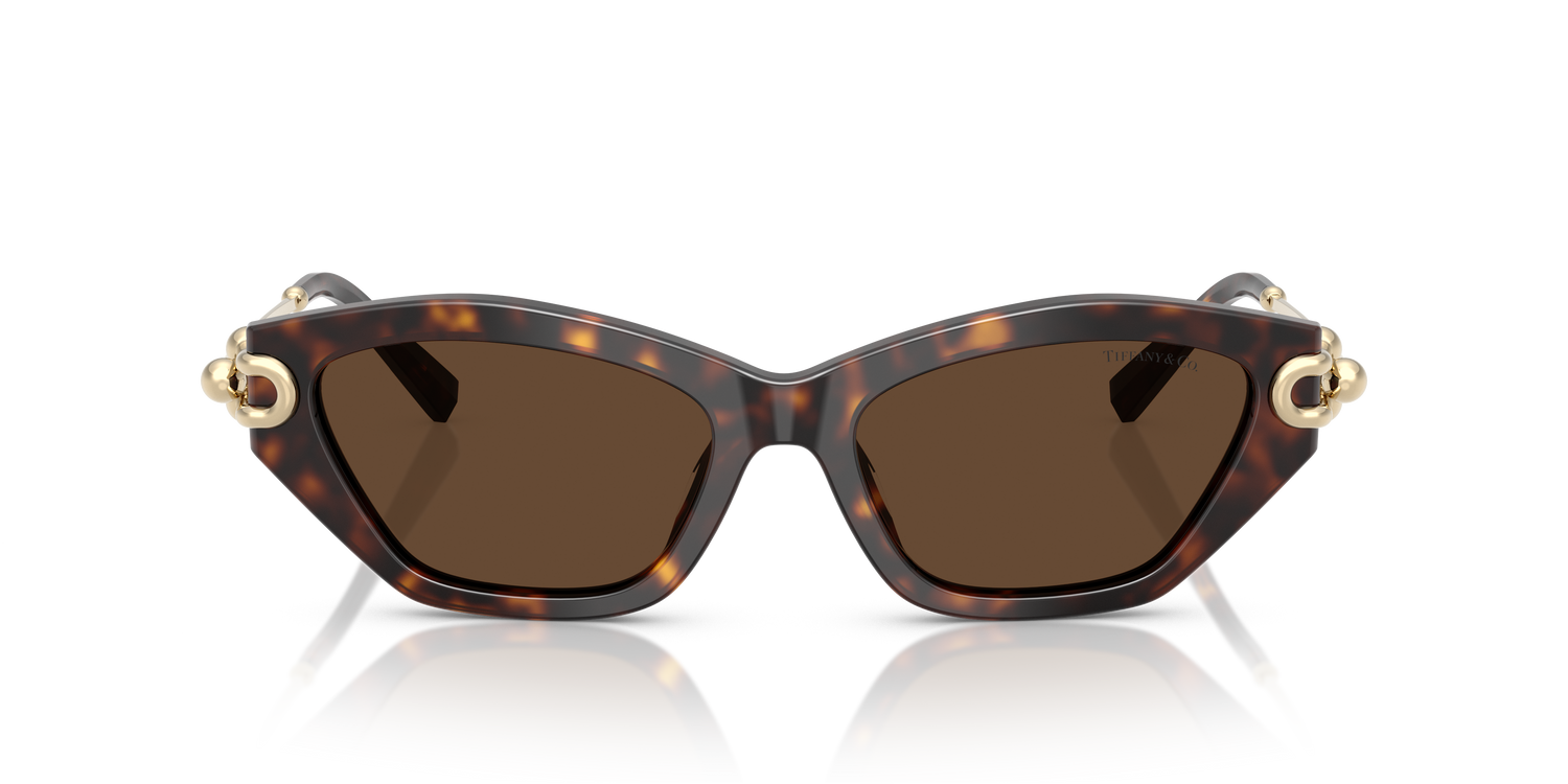 TIFFANY TF4231U 80153G 53