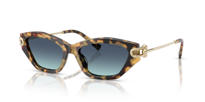 TIFFANY TF4231U 80649S 53