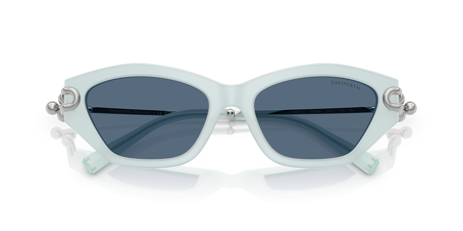 TIFFANY TF4231U 843680 53