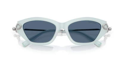 TIFFANY TF4231U 843680 53