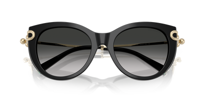 TIFFANY TF4232 80013C 53