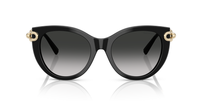 TIFFANY TF4232 80013C 53