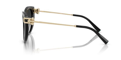 TIFFANY TF4232 80013C 53