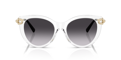 TIFFANY TF4232 80473C 53