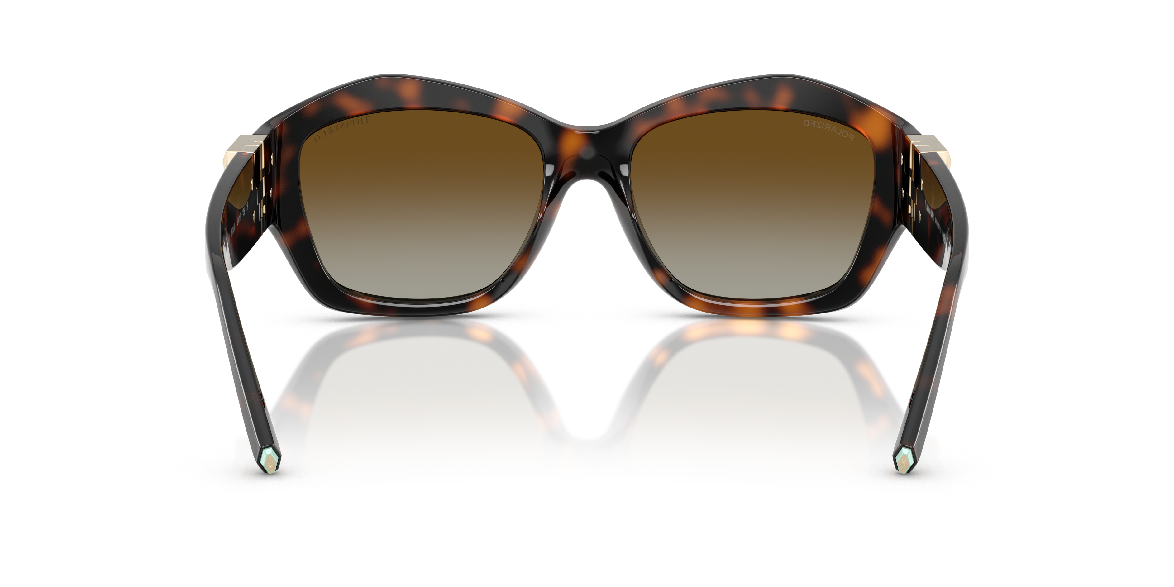 TIFFANY TF4233U 8015T5 54