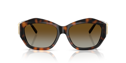 TIFFANY TF4233U 8015T5 54