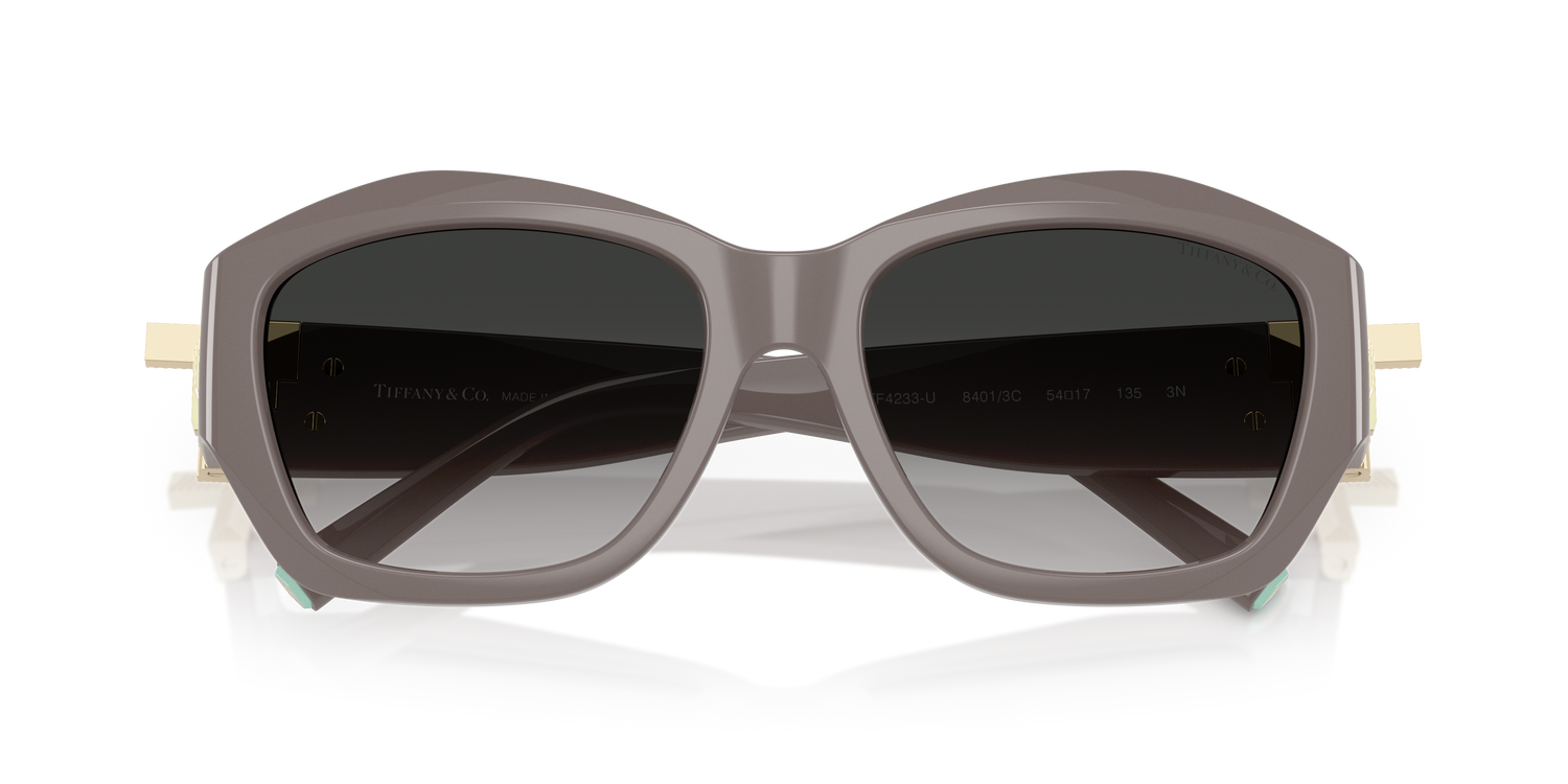 TIFFANY TF4233U 84013C 54