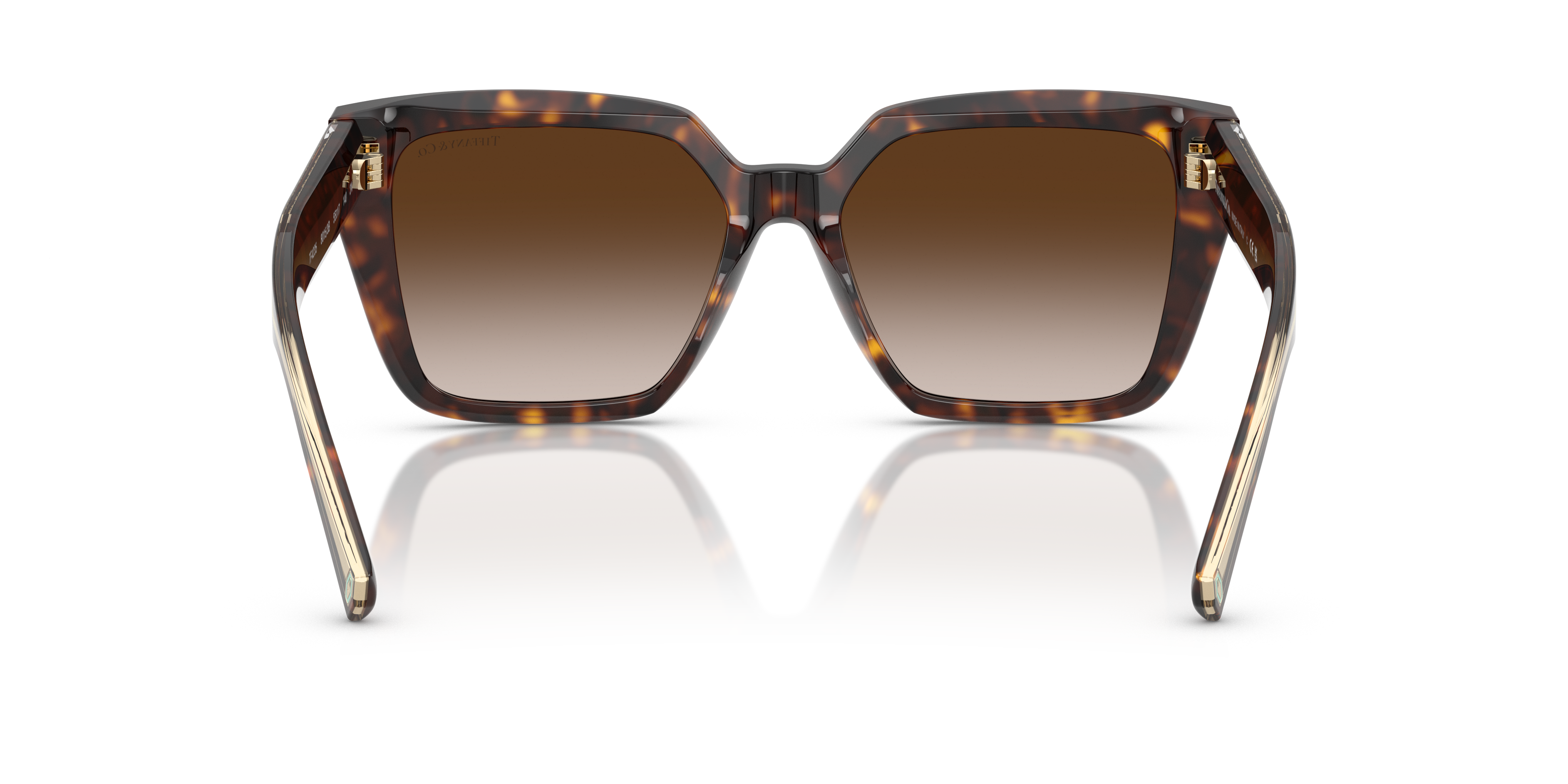 TIFFANY TF4235 80153B 55