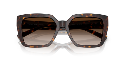 TIFFANY TF4235 80153B 55