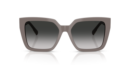 TIFFANY TF4235 84013C 55