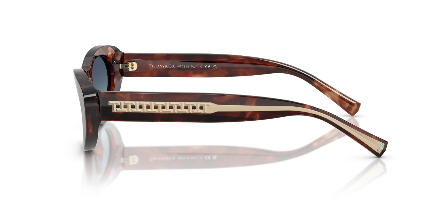 TIFFANY TF4236U 84219S 55