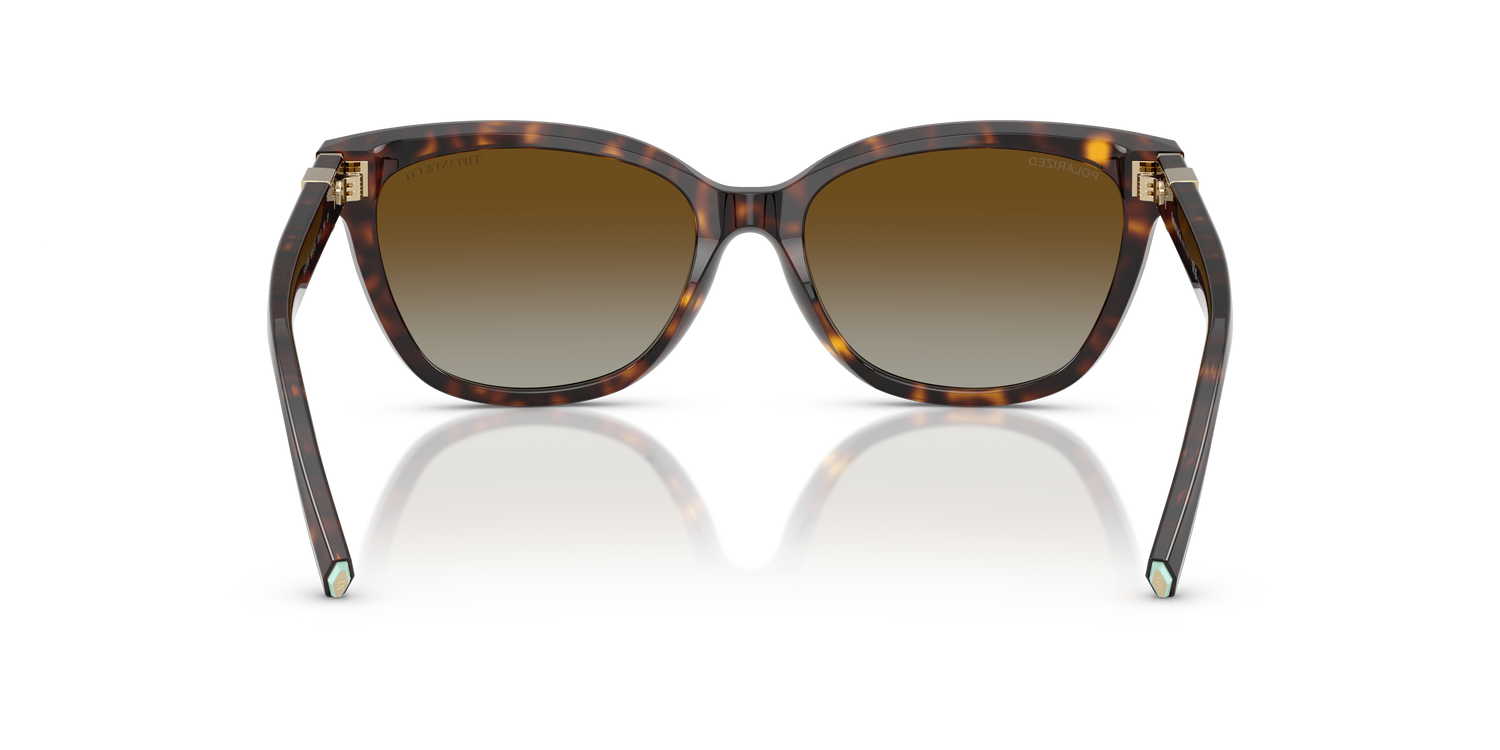 TIFFANY TF4237B 8015T5 55