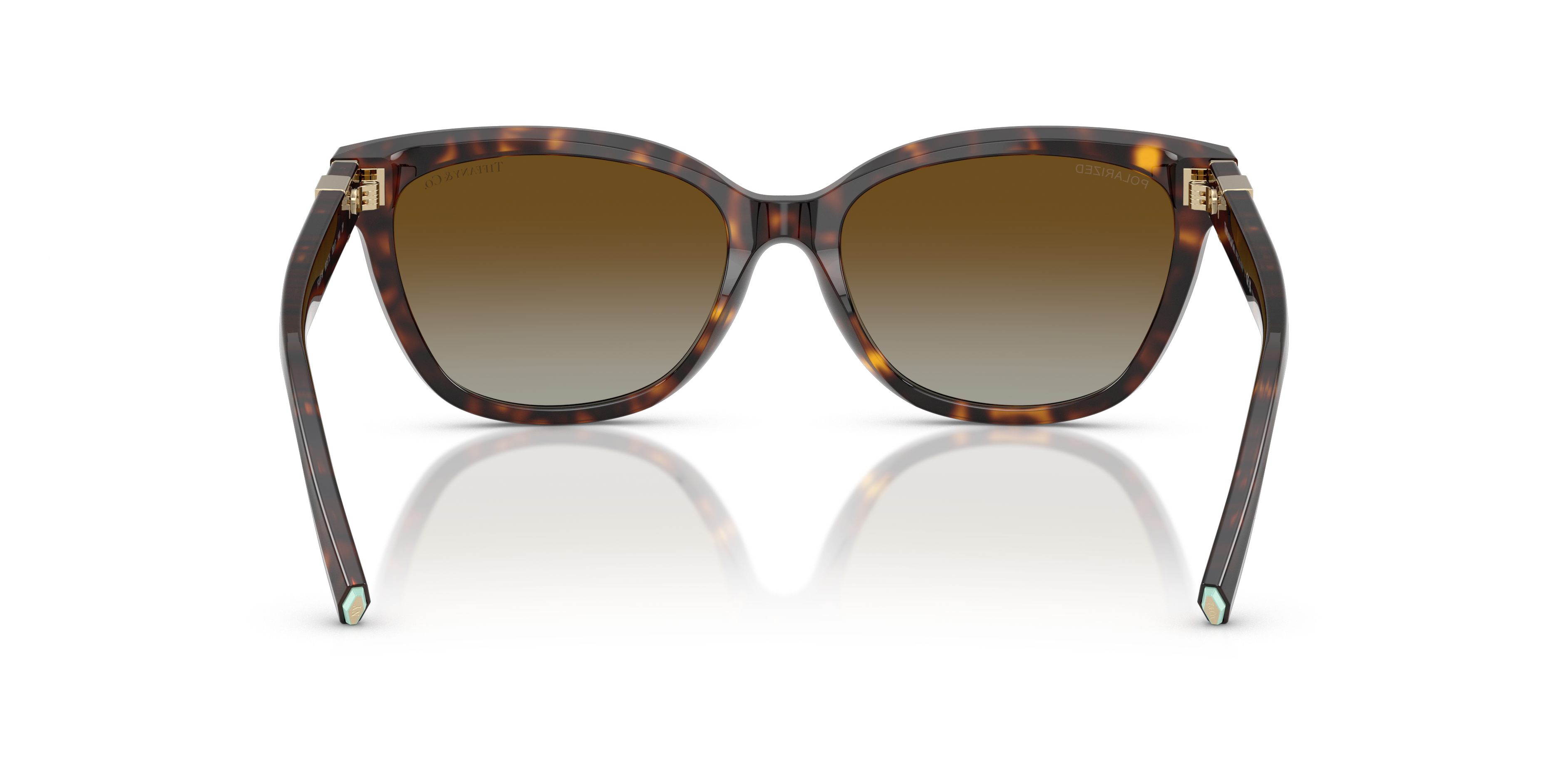 TIFFANY TF4237B 8015T5 55