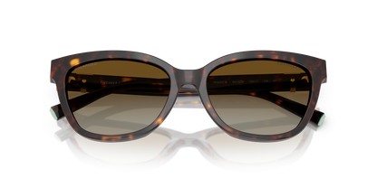 TIFFANY TF4237B 8015T5 55