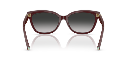 TIFFANY TF4237B 83893C 55