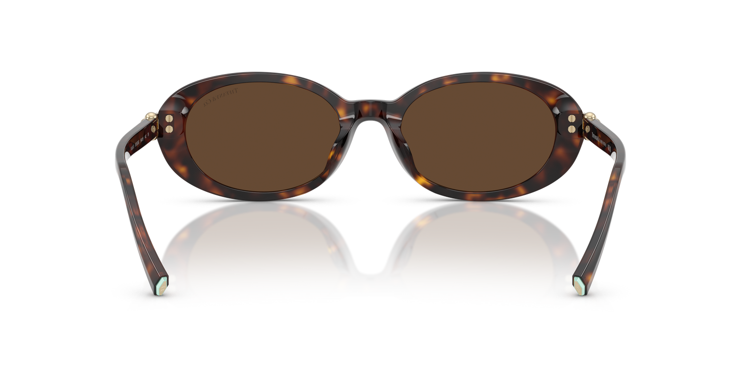 TIFFANY TF4242D 80153G 54