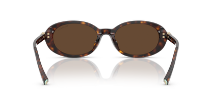 TIFFANY TF4242D 80153G 54