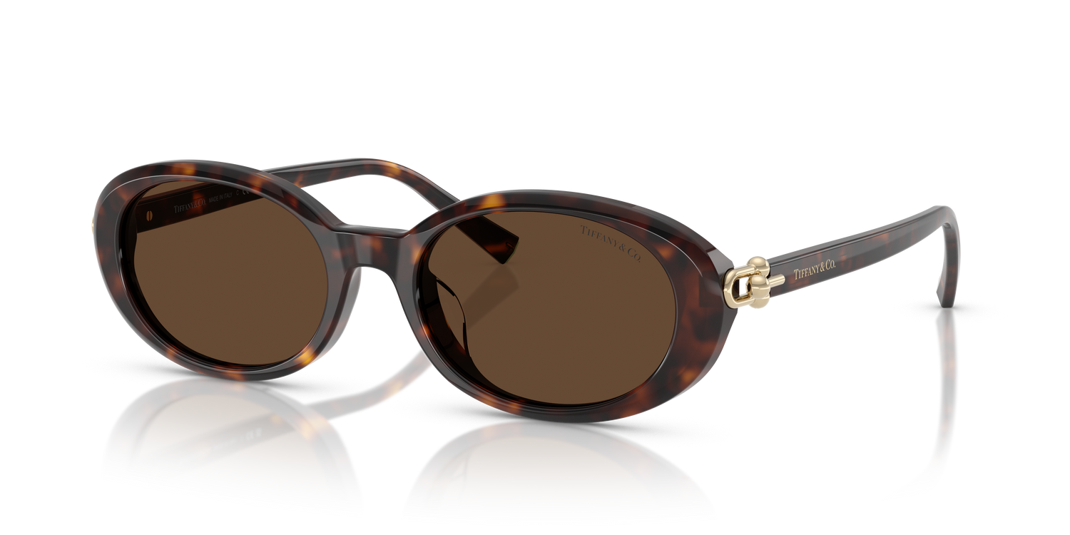 TIFFANY TF4242D 80153G 54