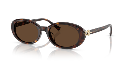 TIFFANY TF4242D 80153G 54