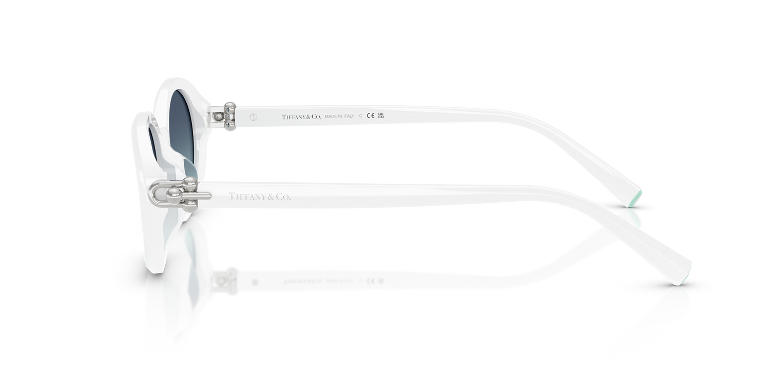 TIFFANY TF4242D 83929S 54