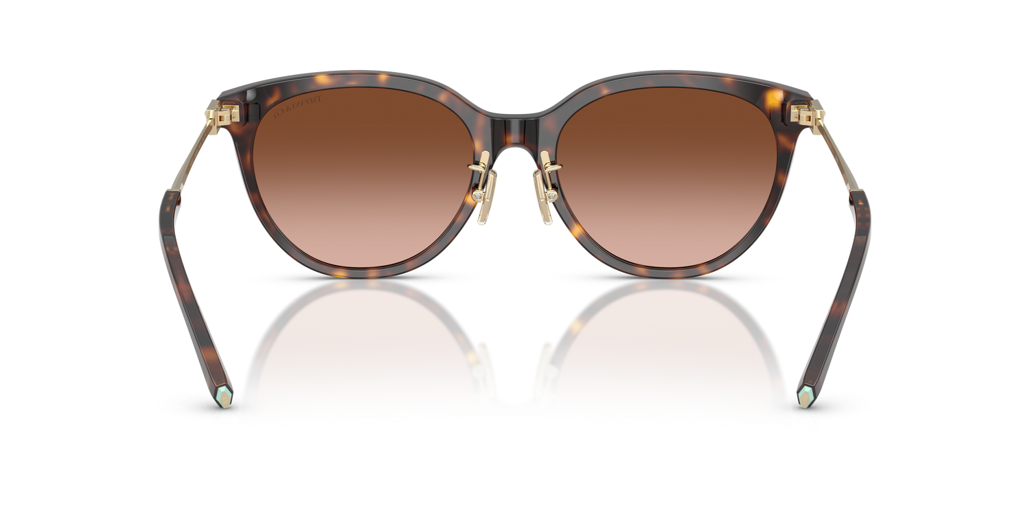 TIFFANY TF4243D 80153B 55