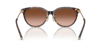 TIFFANY TF4243D 80153B 55