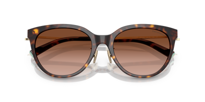 TIFFANY TF4243D 80153B 55