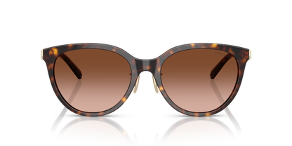 TIFFANY TF4243D 80153B 55