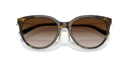 TIFFANY TF4243D 81343B 55