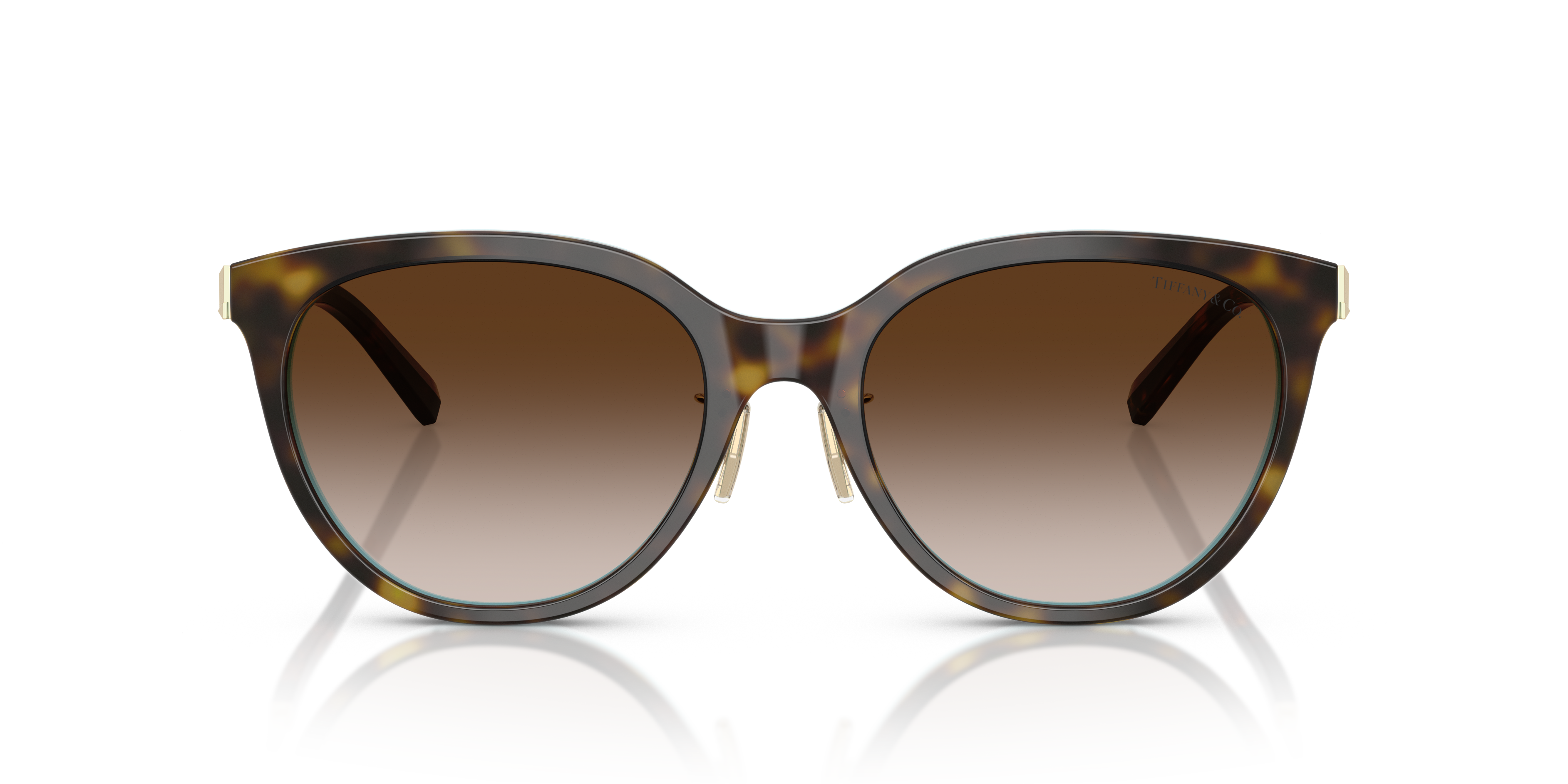 TIFFANY TF4243D 81343B 55