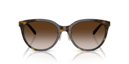 TIFFANY TF4243D 81343B 55