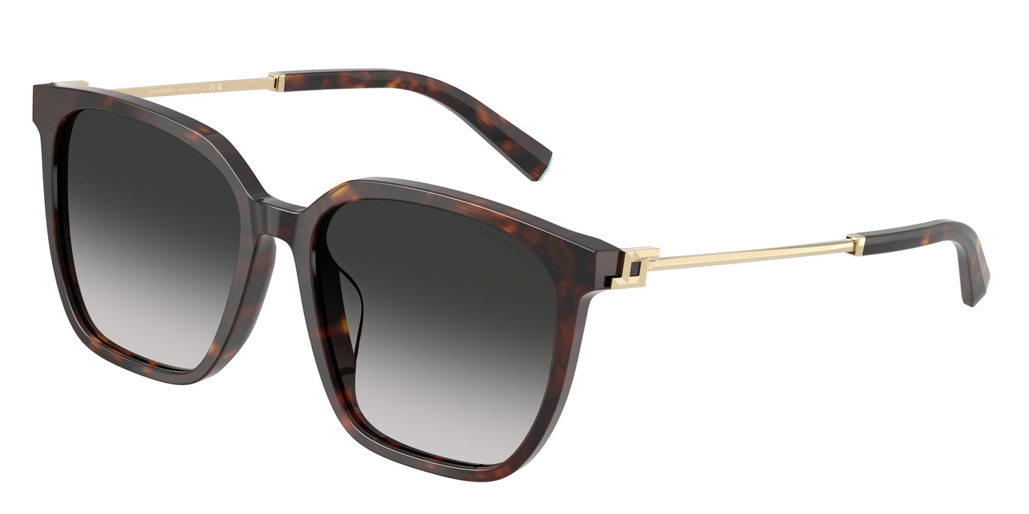 TIFFANY TF4244D 80153C 56